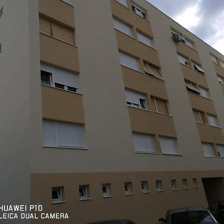 Apartment Mihaela ซาดาร์ ภายนอก รูปภาพ