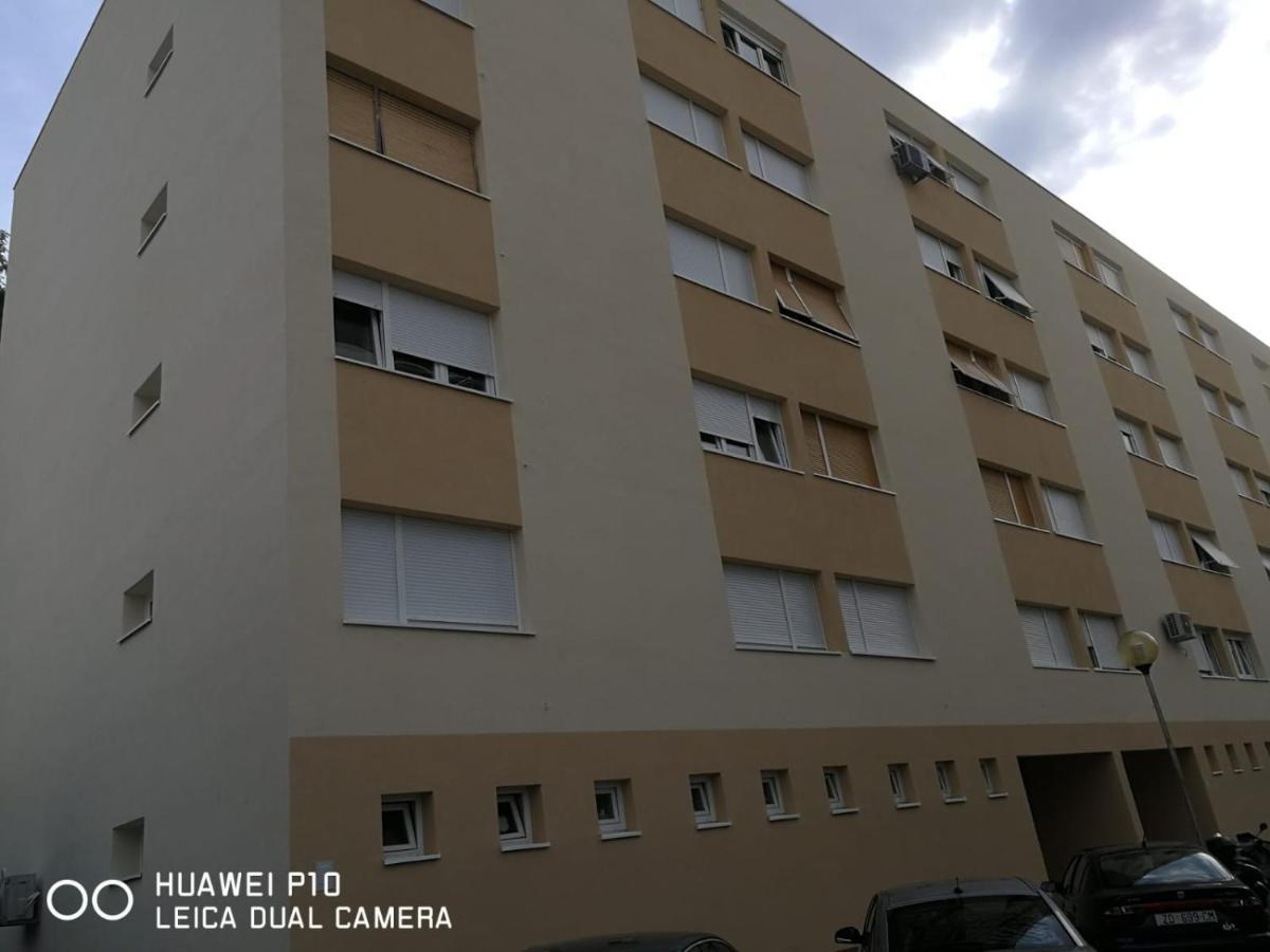 Apartment Mihaela ซาดาร์ ภายนอก รูปภาพ