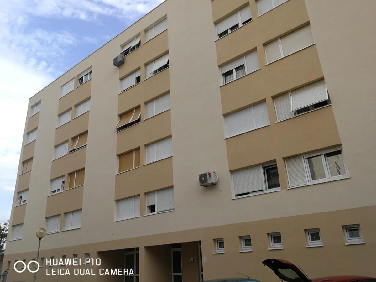 Apartment Mihaela ซาดาร์ ภายนอก รูปภาพ